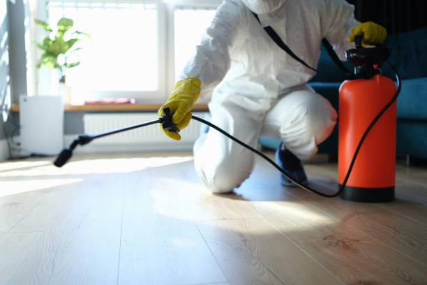 Trusted Sewage Cleanup service in Altoona, FL - Four Month Blood Cleanse
